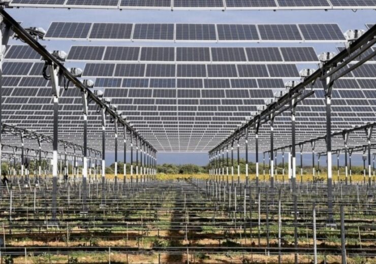 Agrivoltaicele câștigă popularitate în agricultură