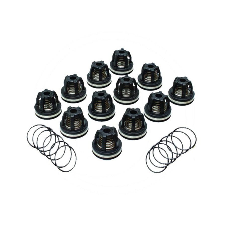Set supape 6702114